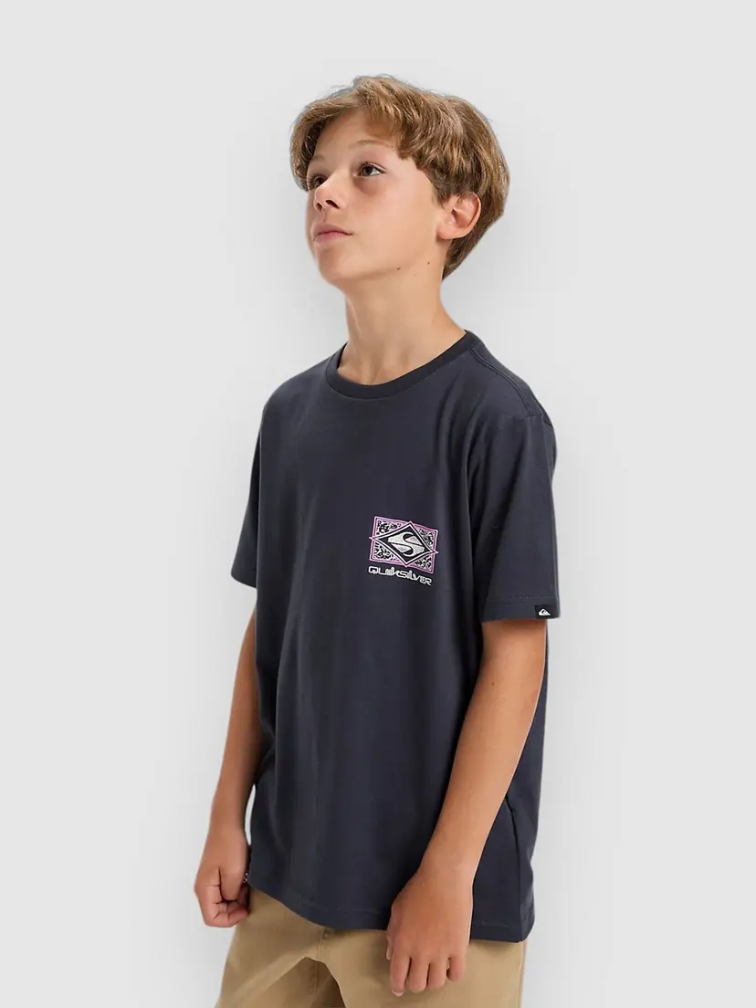 Quiksilver Quiksilver Evo Crisis Kids T-skjorte grå