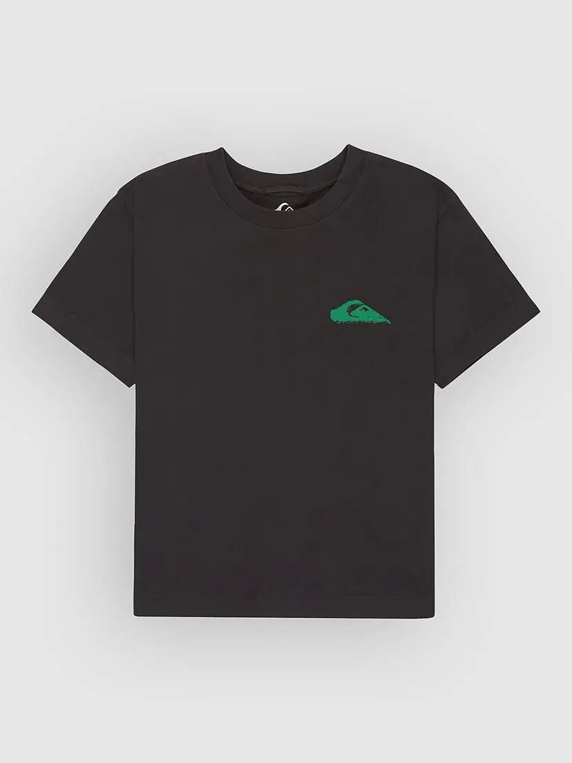 Quiksilver Quiksilver Standard T-skjorte grå