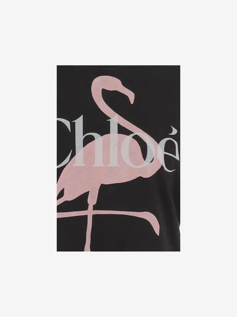 Chloé Chloé Skjorter – Grå