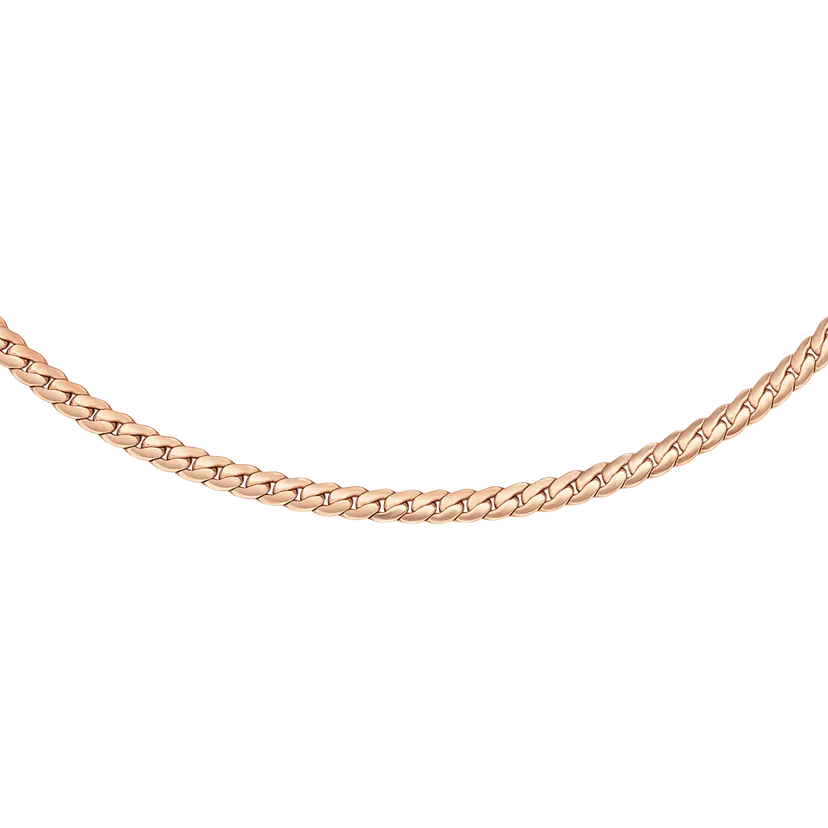 Daniel Wellington Rose Gold Necklace Flat Chain Rg | DW