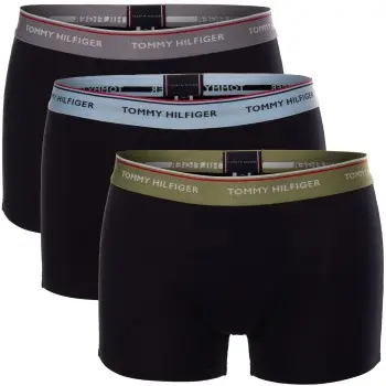 Tommy Hilfiger Tommy Hilfiger 3P Premium Essentials Trunk Plus Size Blå/Grå bomull XX-Large Herre