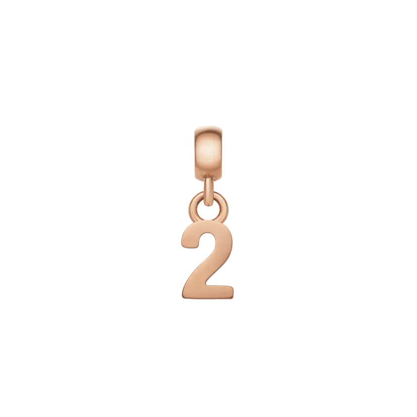 Daniel Wellington Rose Gold Charm Number | DW