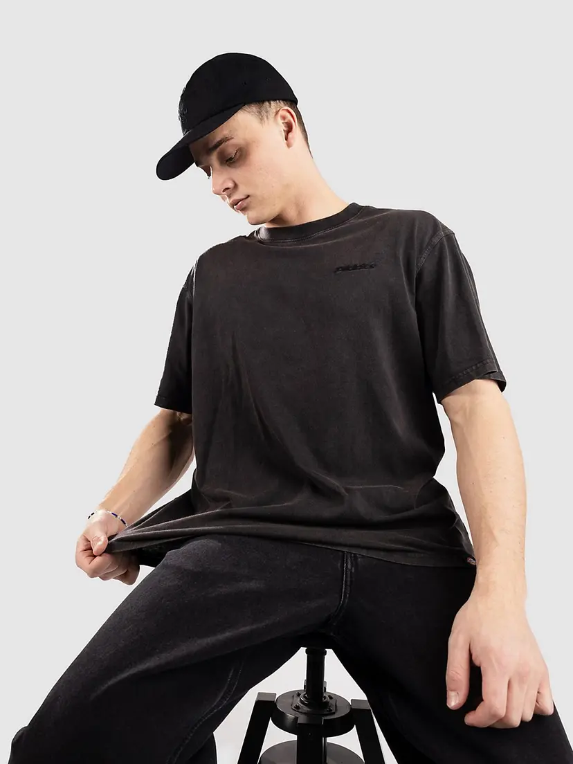 Dickies Dickies Plentywood T-skjorte grå