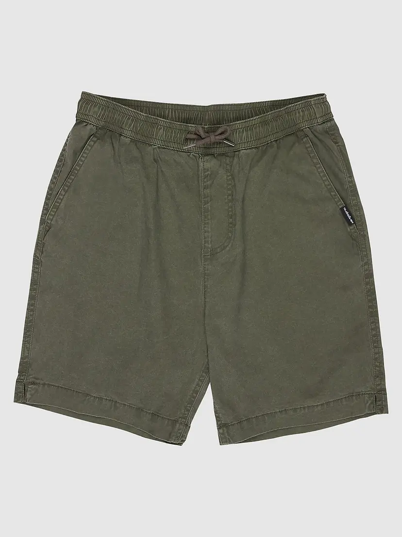 Quiksilver Quiksilver Taxer Kids Shorts grønn