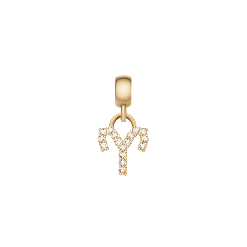 Daniel Wellington Gold Charm Crystal Zodiac | DW