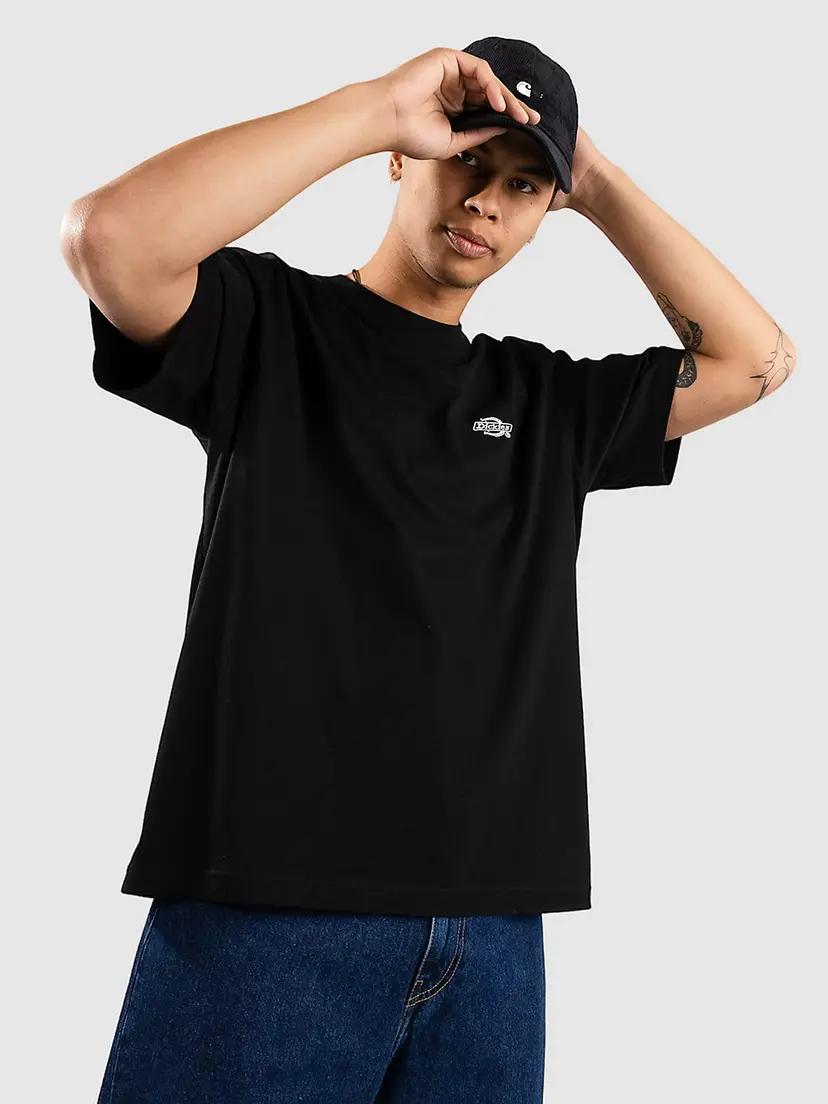 Dickies Dickies Summerdale T-skjorte svart