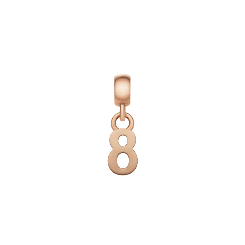 Daniel Wellington Rose Gold Charm Number | DW
