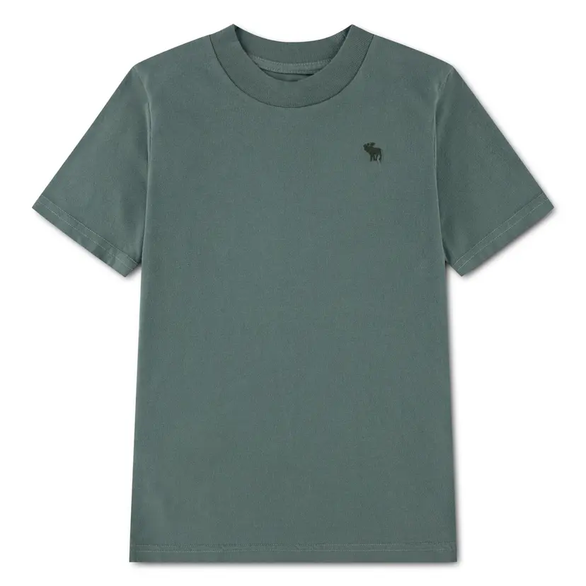 Abercrombie and Fitch Abercrombie and Fitch - T-skjorte Essential Laurel Wreath