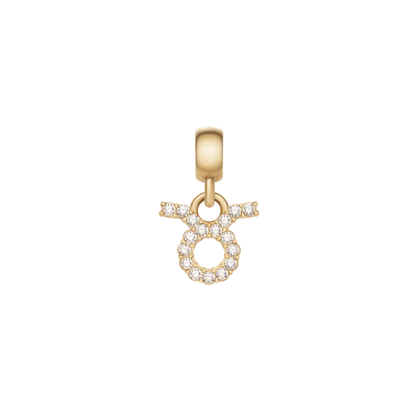 Daniel Wellington Gold Charm Crystal Zodiac | DW