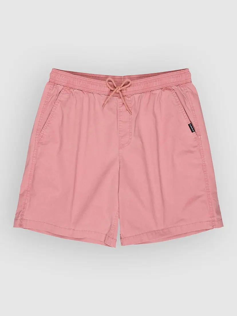 Quiksilver Quiksilver Taxer 19 Shorts