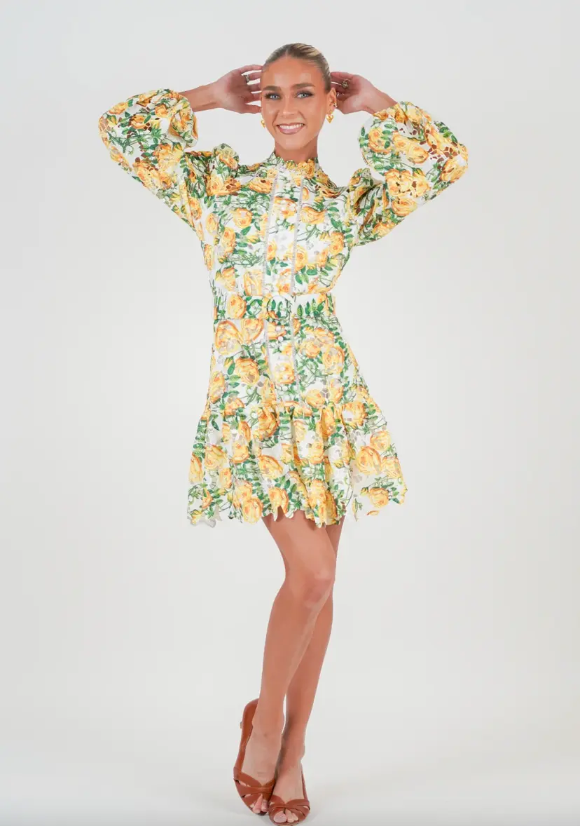 Golightly Lovely Print Dress - Yellow Roses