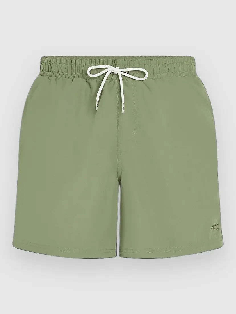 O'Neill O'Neill Vert 16'' Boardshorts grønn