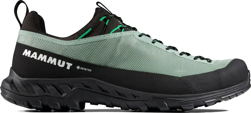Mammut Mammut Men's Alnasca Iv Low Gtx  Deep Silver Sage-pinea