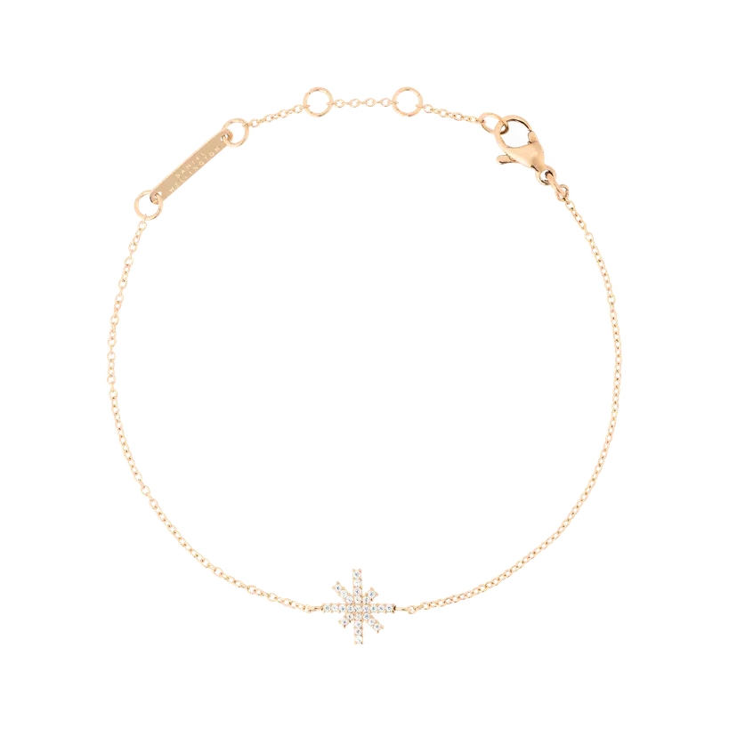 Daniel Wellington Rose Gold Bracelet Mirelle Star | DW