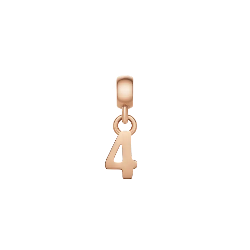 Daniel Wellington Rose Gold Charm Number | DW