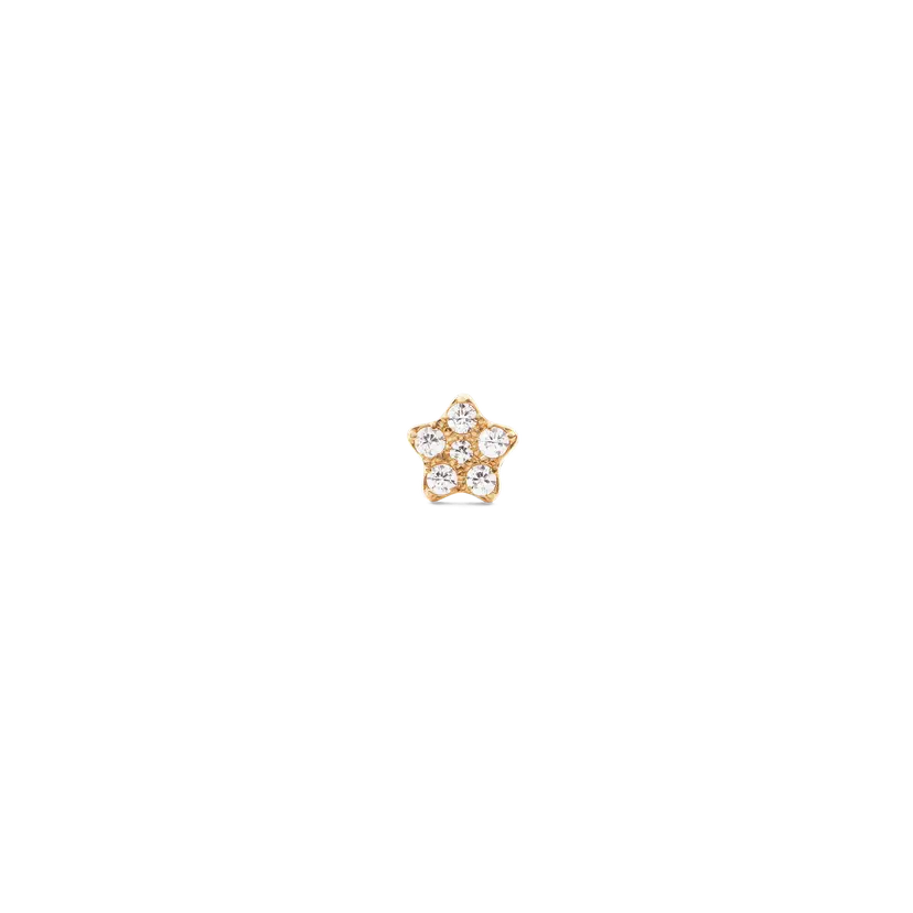 Daniel Wellington Gold Earrings Crystal Star Stud | DW