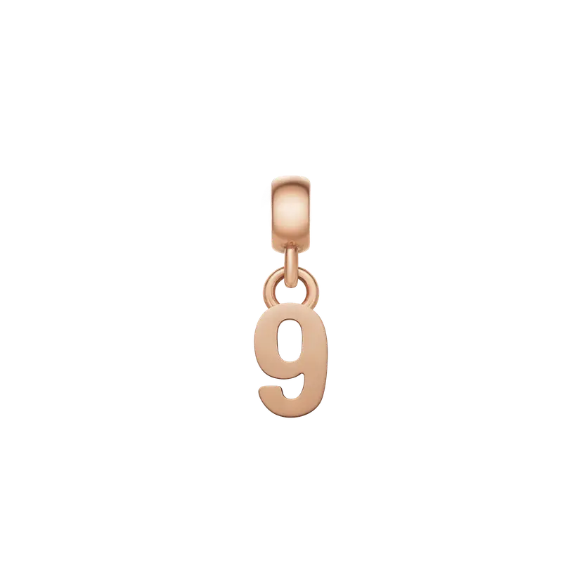 Daniel Wellington Rose Gold Charm Number | DW