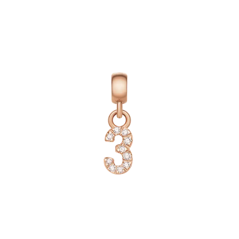 Daniel Wellington Rose Gold Charm Crystal Number | DW