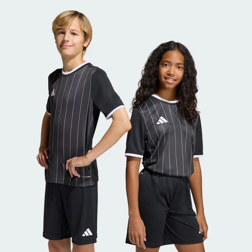 Adidas Entrada26 Graphic Trøye