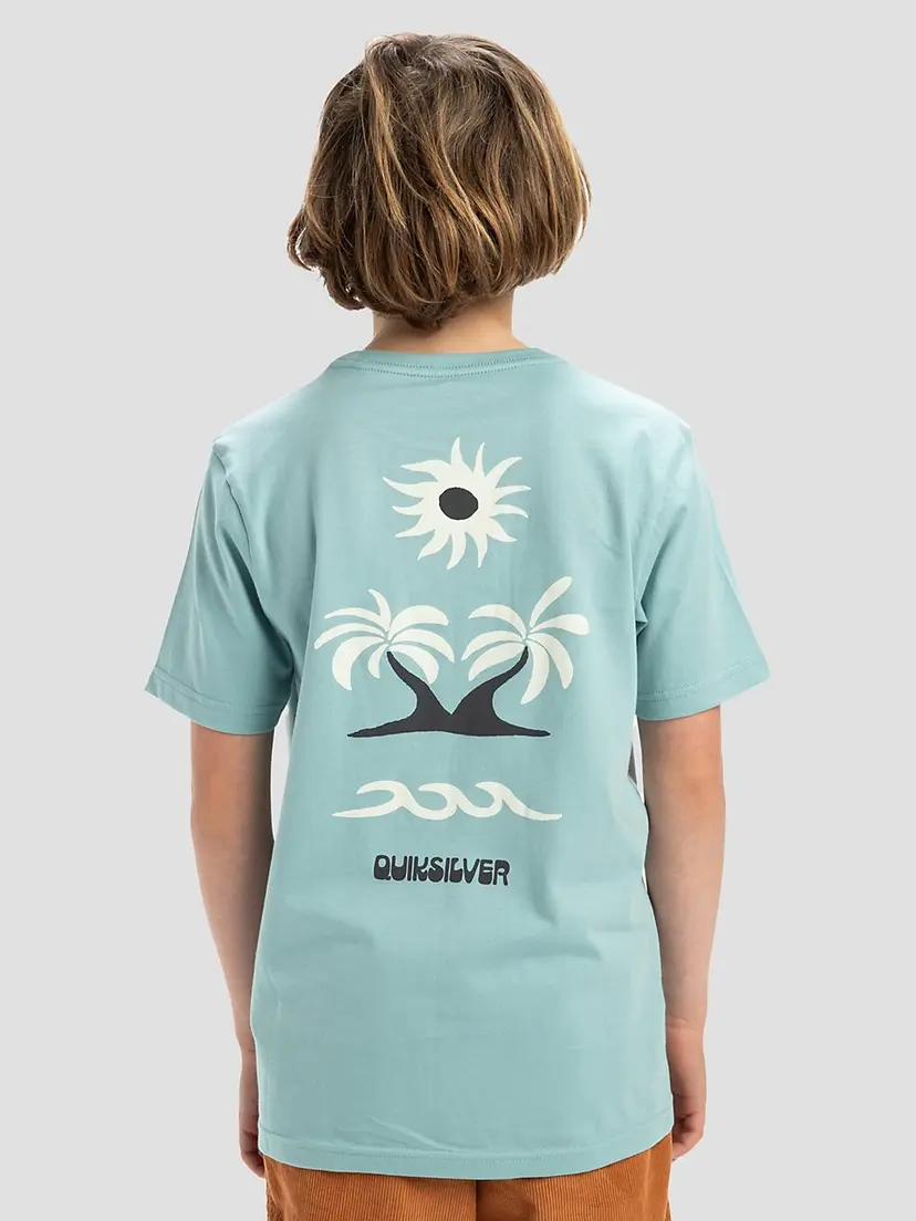 Quiksilver Quiksilver Evo Roads End Kids T-skjorte blå
