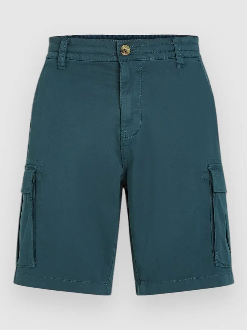 O'Neill O'Neill Essentials Cargo Shorts blå