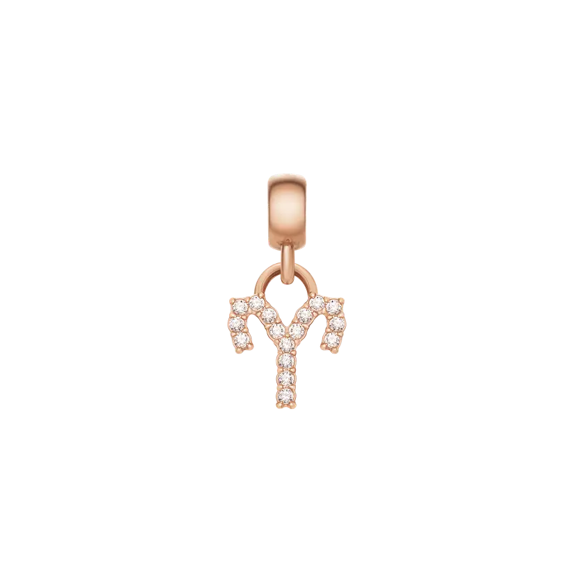 Daniel Wellington Rose Gold Charm Crystal Zodiac | DW