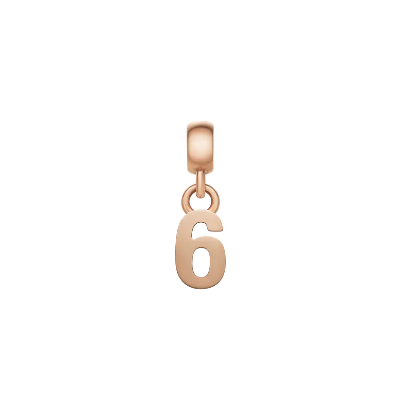 Daniel Wellington Rose Gold Charm Number | DW