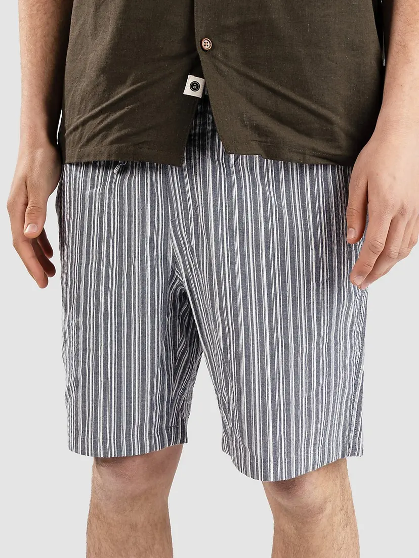 Fat Moose Fat Moose Colby Shorts blå