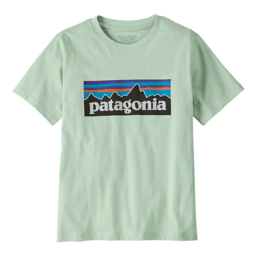 Patagonia Patagonia - T-skjorte P-6 Logo Thin Ice