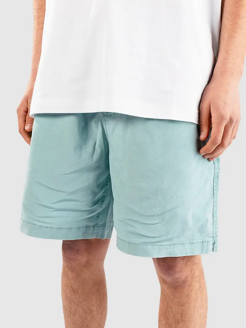 Quiksilver Quiksilver Taxer Ws Shorts blå