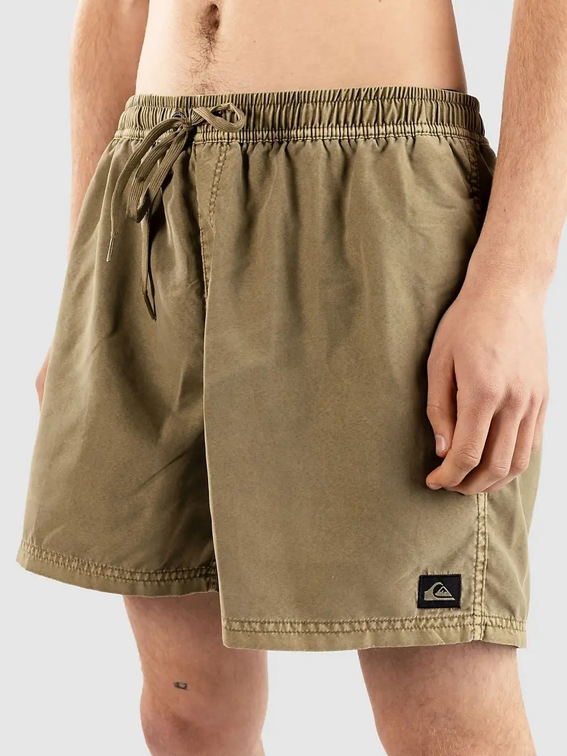 Quiksilver Quiksilver Everyday Surfwash Volley 15 Boardshorts grønn