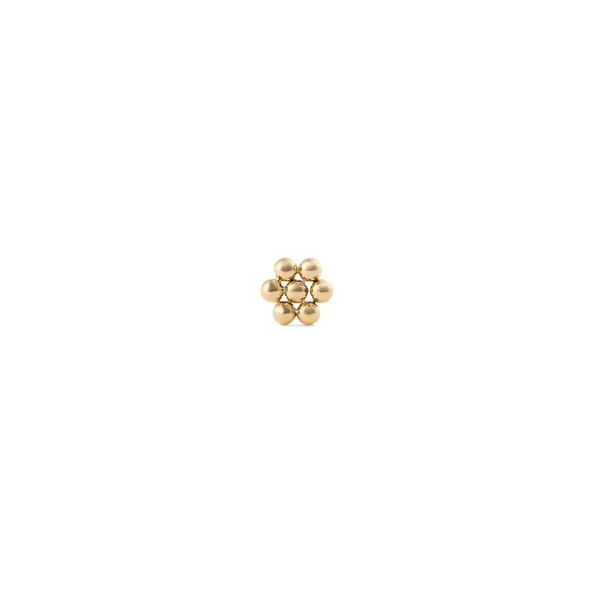 Daniel Wellington Gold Earrings Flower Stud | DW