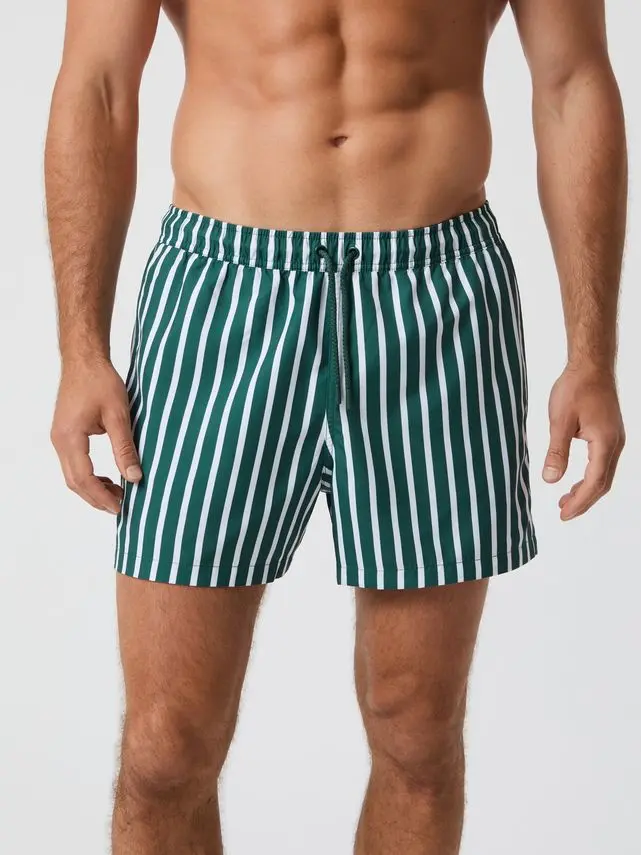Björn Borg BORG PRINT SWIM SHORTS, BB WIDE STRIPE 2