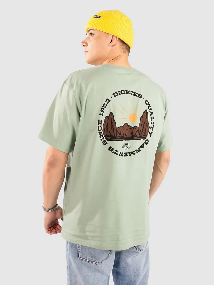 Dickies Dickies Outdoor T-skjorte grønn
