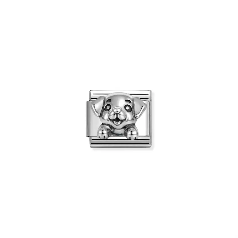 Nomination Silver Dog