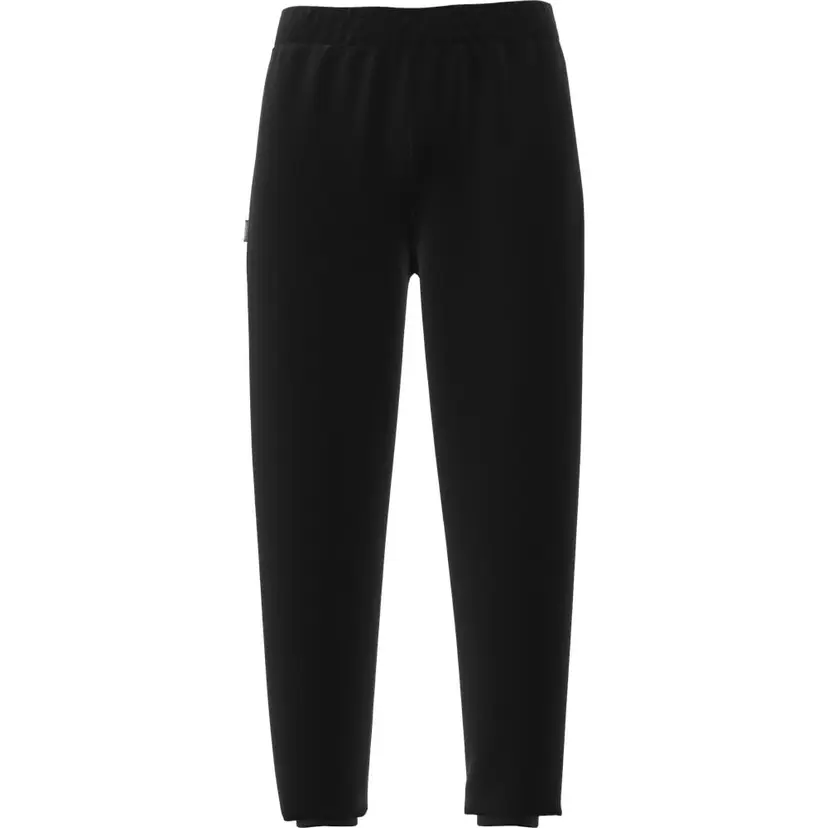 Icebreaker Icebreaker M's Mer 200 Shifter Pants Black