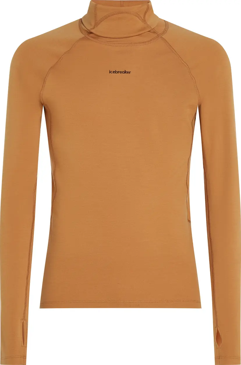 Icebreaker Icebreaker Men's Merino 300 Merinofine™  Polar Long Sleeve Roll Neck Trail