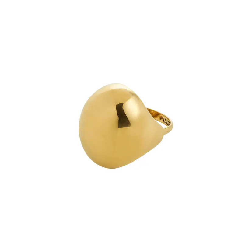 Pilgrim Pilgrim JAMESON ring gullbelagt