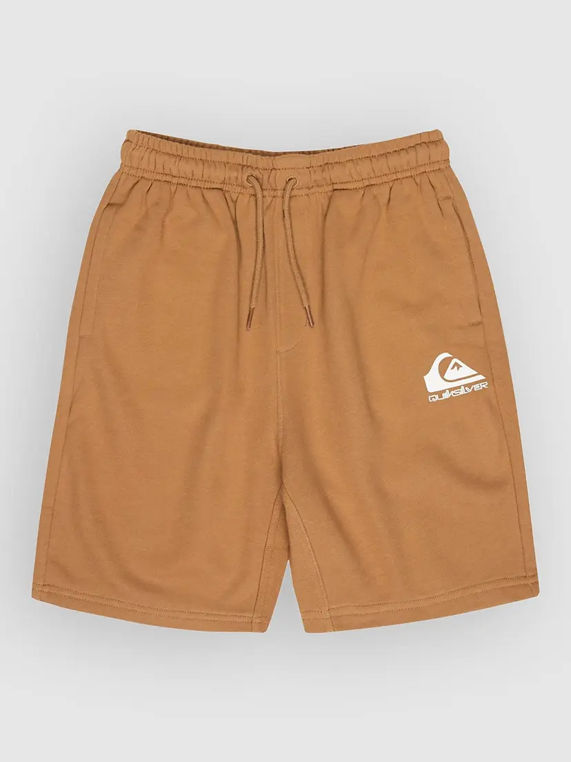 Quiksilver Quiksilver Easy Day Jogger Kids Shorts brun