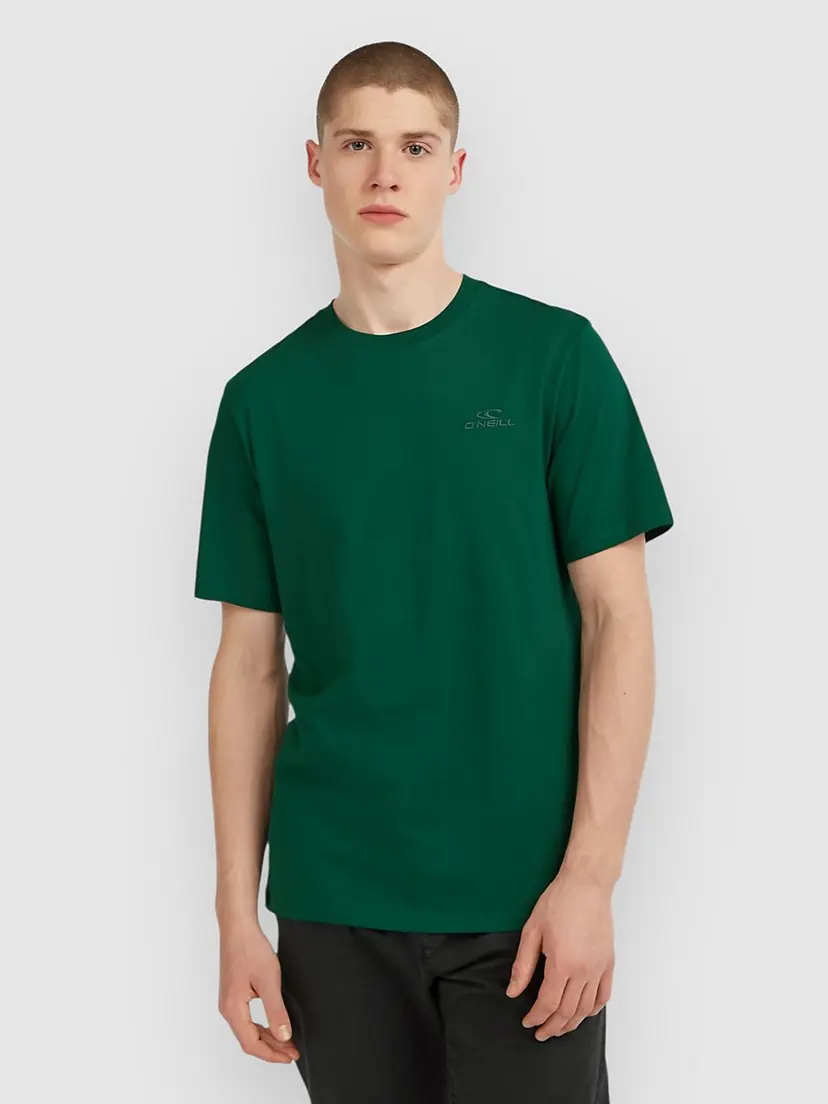 O'Neill O'Neill Small Logo T-skjorte blå
