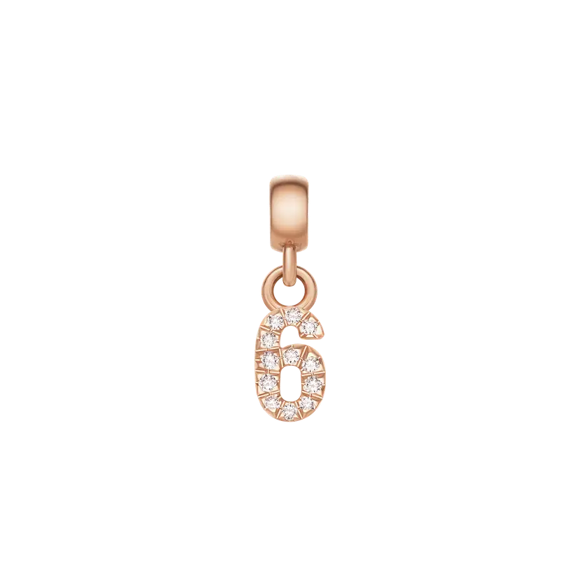Daniel Wellington Rose Gold Charm Crystal Number | DW