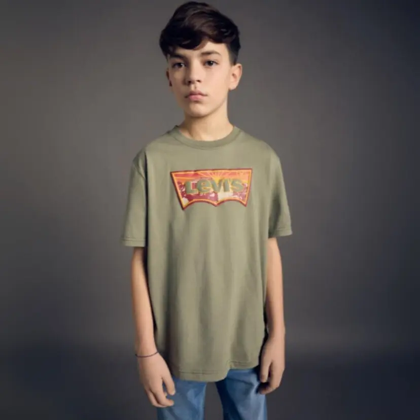 Levi's Levi's - T-Skjorte LVB Sunrise Desert Tee Deep Lichen Green