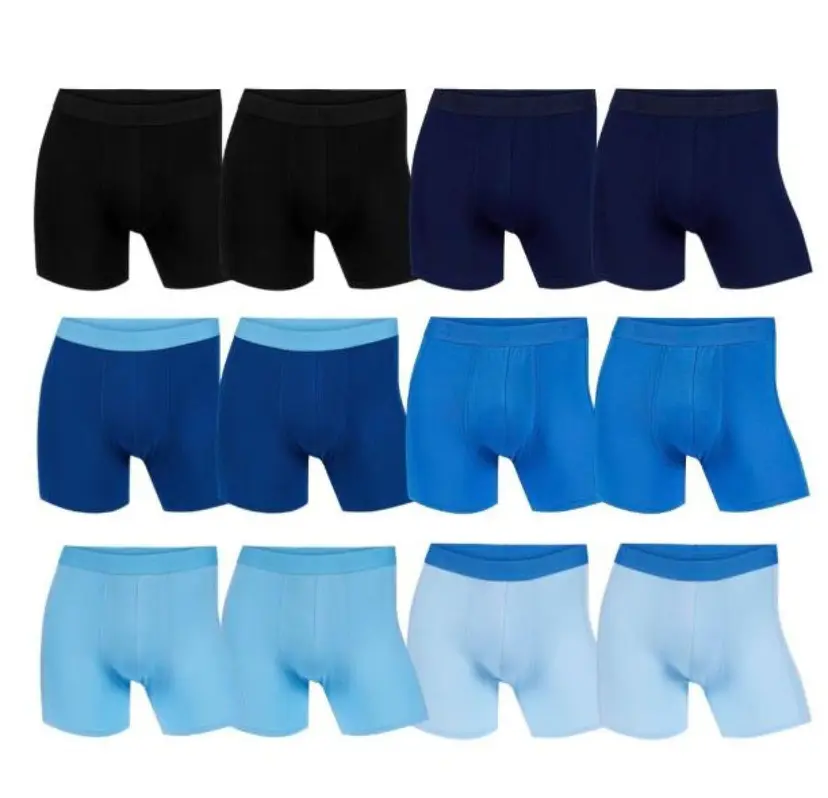 Tufte Wear Tufte Wear Boxer Basic Briefs 12-pk Blue