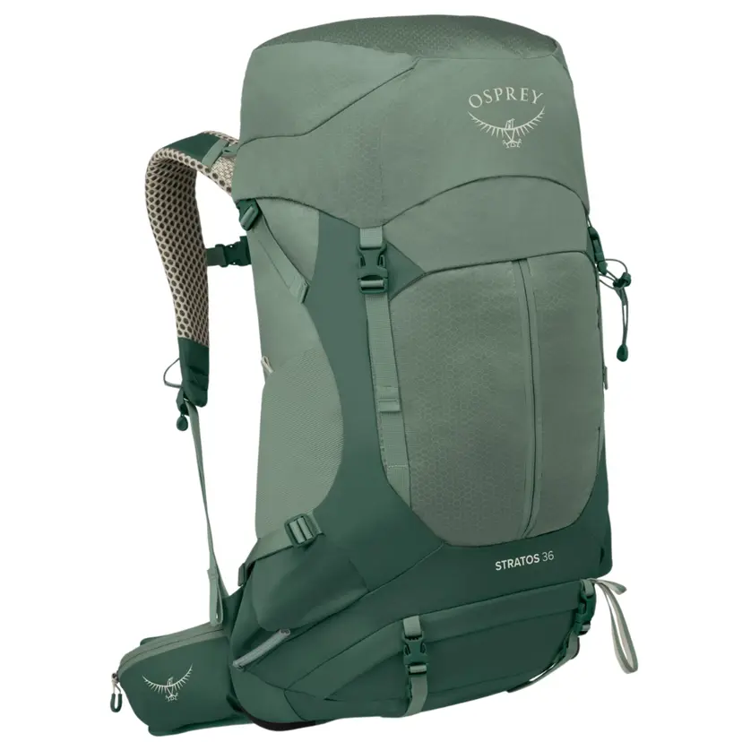 Osprey Osprey Stratos 36 Pine Leaf Green