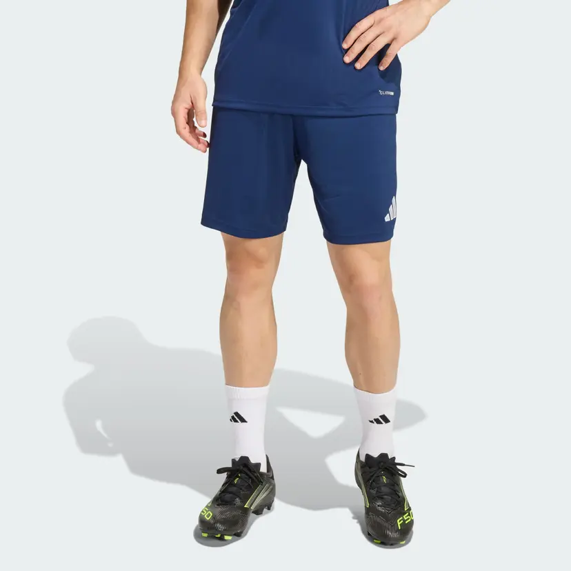 Adidas Entrada26 Shorts