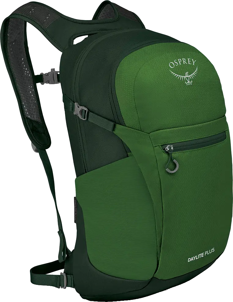 Osprey Osprey Daylite Plus Green Belt/green Canopy