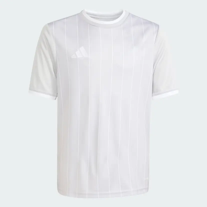 Adidas Entrada26 Graphic Jersey Kids