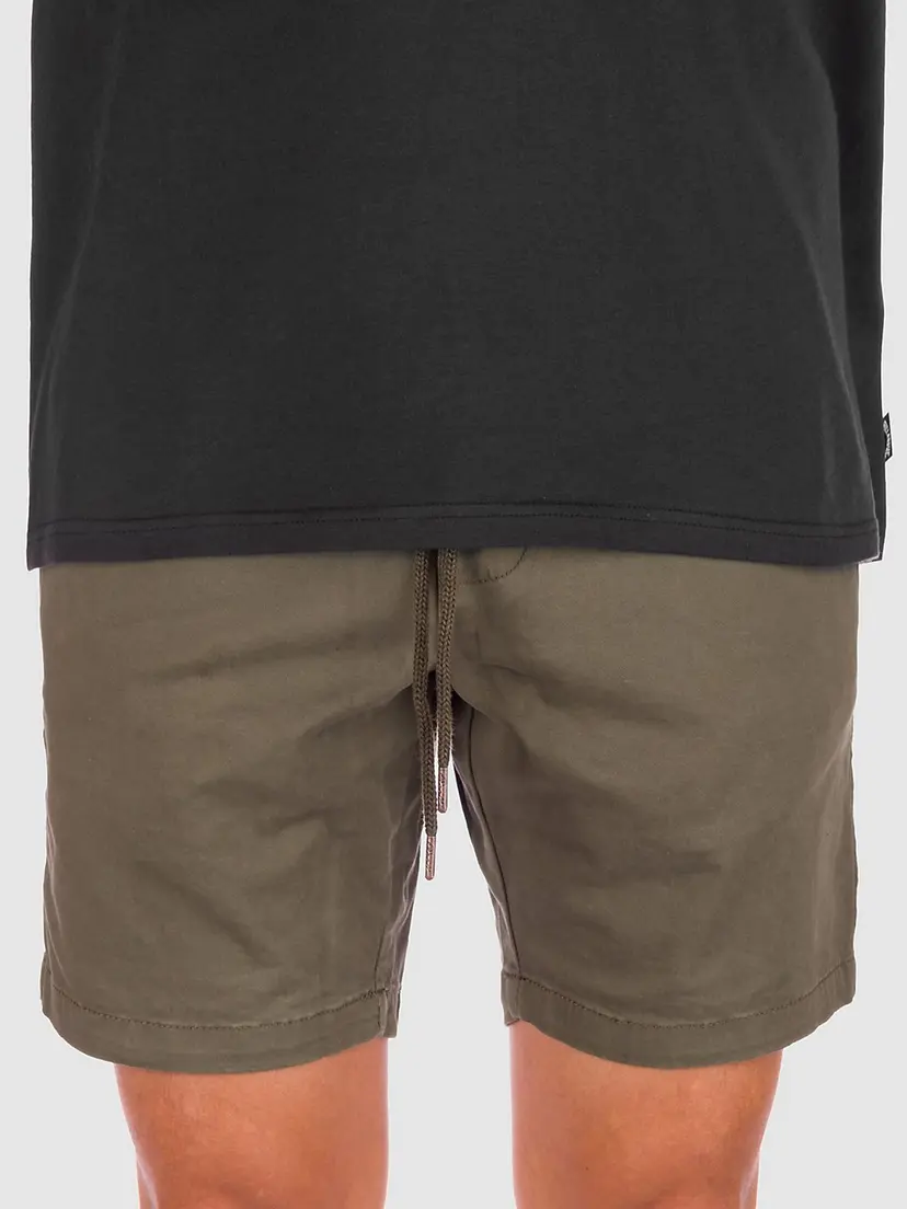 REELL REELL Reflex Easy Shorts grønn