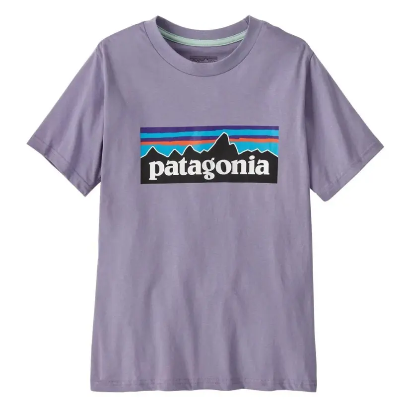 Patagonia Patagonia - Kids P-6 Logo T-Shirt Concrete Purple