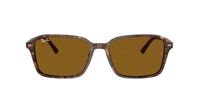 Ray-Ban Ray-Ban RB2231 Raimond Brun